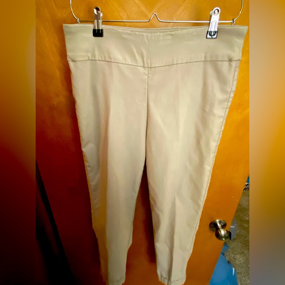 Tribal brand 76% rayon dress pants